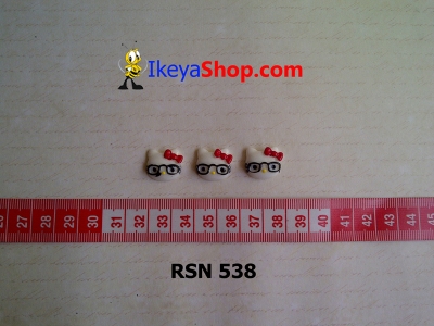 rsn 538  large2